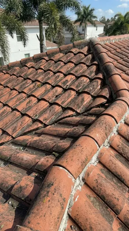 Faded terracotta tile roof before painting with debris and staining