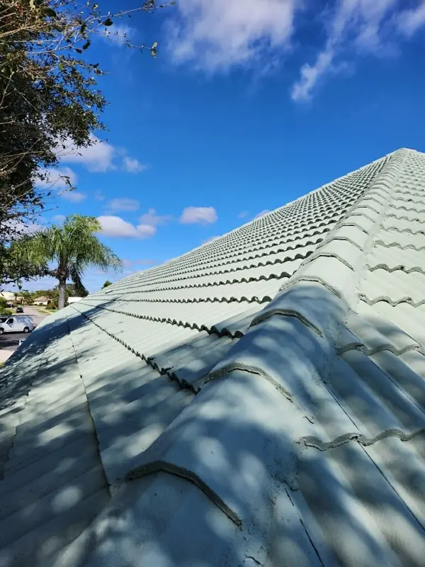 Sage green barrel tile roof after painting, ridge view against a blue sky