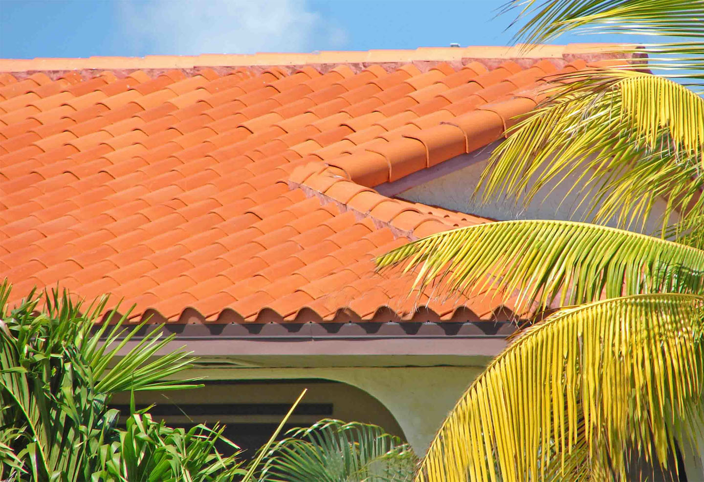 Clay tile roof