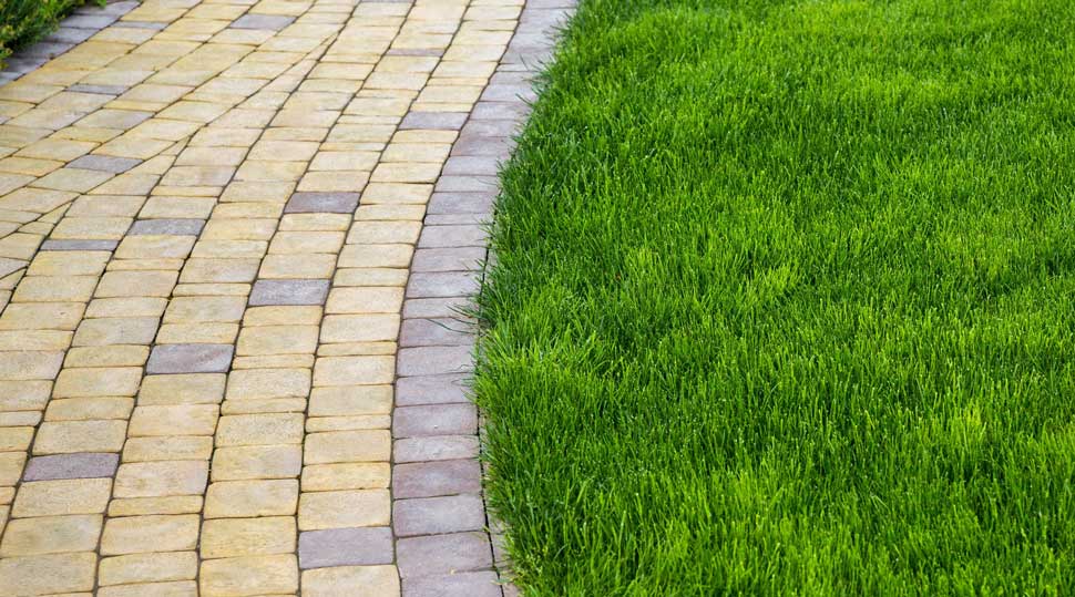 A paved path through a lush green lawn